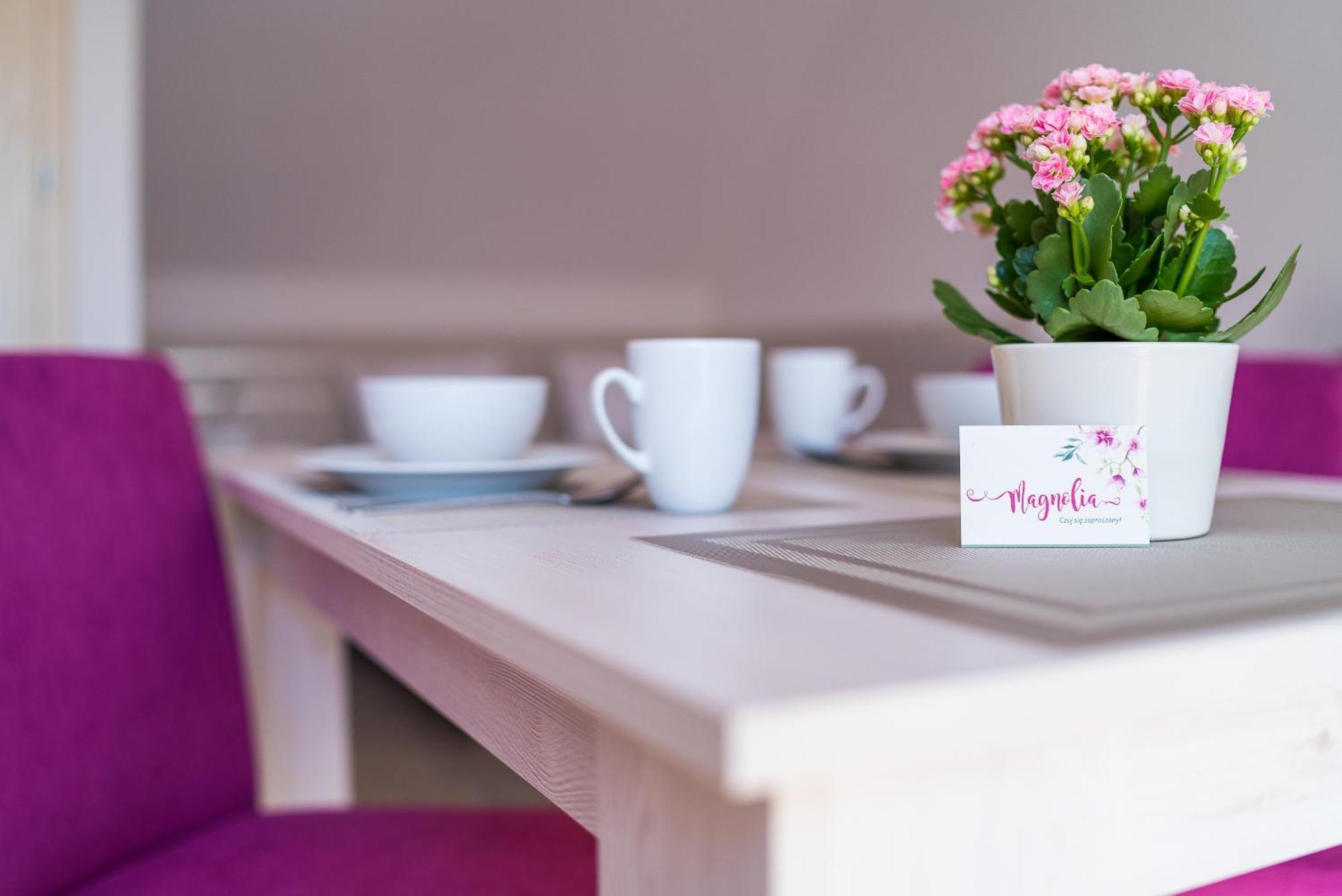 Magnolia Pokoje I Apartamenty Dębki Kültér fotó